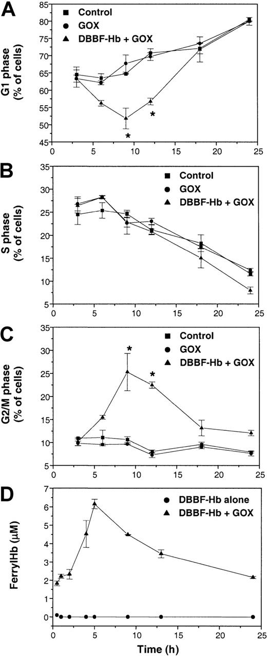 Fig. 3. Redox cycling of DBBF-Hb induces cell cycle arrest in the G2/M phase. / Cells were incubated with FBS-free medium alone (control) or medium containing 2 mU/mL GOX with or without 50 μM DBBF-Hb. At each time interval, adherent and nonadherent cells were pooled, and fixed. DNA content was determined by flow cytometry after RNase digestion and PI staining. The fraction of cells in the (A) G1 phase, (B) S phase, and (C) G2/M phase of the cell cycle was calculated as described in “Materials and methods.” Each point represents the mean ± SE for 3 to 6 independent experiments. *P < .05 versus control. (D) Ferryl hemoglobin formation in medium containing DBBF-Hb with or without 2 mU/mL GOX. Ferryl hemoglobin was measured using the sodium sulfide method as described in “Materials and methods.” Each point represents the mean ± SE for 4 to 5 samples.