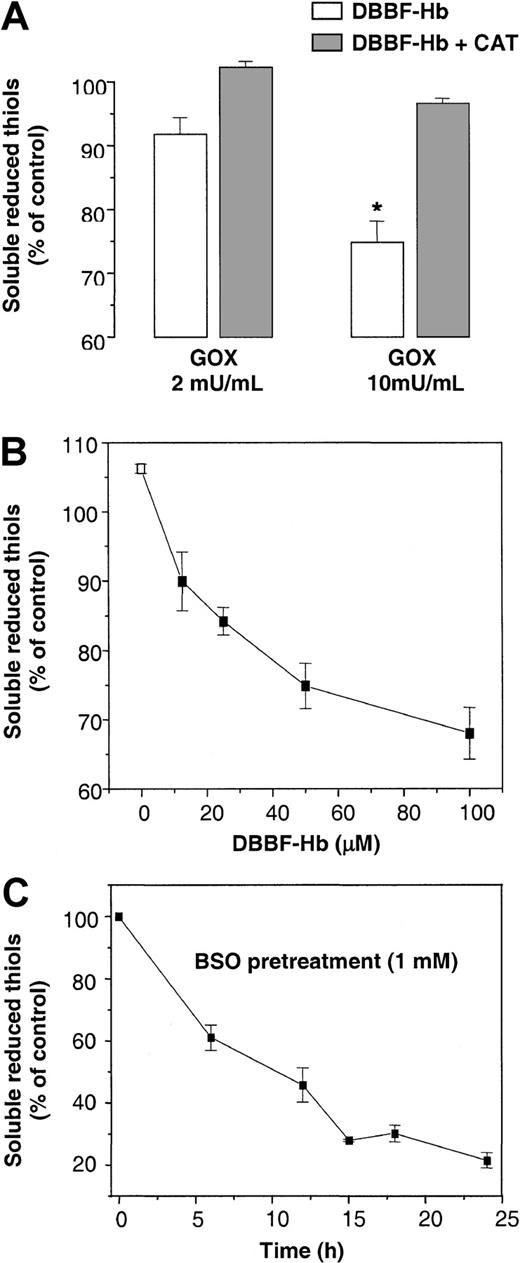 Fig. 6. Redox cycling of DBBF-Hb alters intracellular thiol status. / (A) Soluble reduced thiols in endothelial cells were measured after a 4-hour incubation with 50 μM DBBF-Hb and GOX (2 or 10 mU/mL) in the presence or absence of 100 U/mL catalase. Values are reported as the means ± SE for 2 to 5 independent experiments performed in triplicate. *P < .05 versus control. (B) Soluble reduced thiols were measured after incubation with 10 mU/mL GOX and DBBF-Hb (0-100 μM). Values are reported as the means ± SE for 2 to 5 independent experiments performed in triplicate. (C) Time course for reduced thiol depletion in endothelial cells by BSO, an inhibitor of GSH synthesis. Cells were incubated in complete EGM medium with or without 1 mM BSO. Values were recorded as the percentage of control cells (medium alone) for each experiment and were reported as the means ± SE for 3 to 5 independent experiments performed in triplicate.