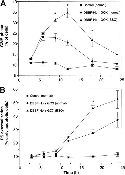 Fig. 7. Prior depletion of GSH exacerbates G2/M arrest and apoptosis. / Normal and BSO-pretreated cells were incubated with FBS-free medium alone or with medium containing 50 μM DBBF-Hb and 10 mU/mL GOX. At each time interval, adherent and nonadherent cells were pooled and analyzed for (A) DNA content and (B) PS externalization. No differences in DNA content or PS externalization were observed between media-treated normal and BSO cells. Values at each time point are reported as the mean ± SE of 3 to 6 independent experiments. *P < .05 versus DBBF-Hb and GOX in normal cells.
