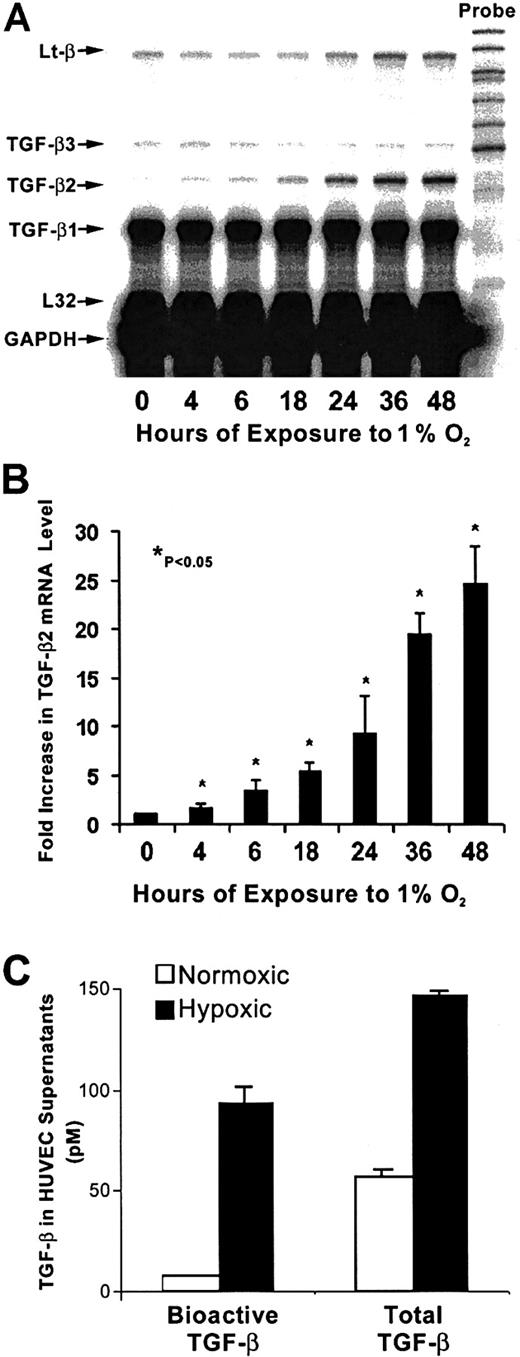 Fig. 1. Time course of hypoxia's effect on TGF-β mRNA levels in HUVECs. / (A) RNase protection analysis of HUVEC mRNA is shown. Total RNA was extracted from HUVECs after exposure to 20% O2 or 1% O2 at indicated times; 0 hours represents the normoxic sample. Each lane contained 10 μg total RNA hybridized to an antisense RNA probe cocktail that contained the templates for genes, protected fragments of which were separated on a 5% DNA sequencing gel and are indicated by arrows. (B) The graph represents the quantification results from 4 independent experiments. TGF-β2 signal was normalized to that from L32 (mRNA for ribosomal protein subunit); 0 hours is the mean of mRNA levels from control normoxic HUVECs. Each subsequent bar represents mRNA levels compared with its own normoxic control (not shown) at indicated hours. *P < .05. (C) TGF-β protein in supernatants from hypoxic and nonhypoxic HUVECs cultured for 48 hours was determined before and after heat activation to quantitate bioactive and total TGF-β levels, respectively, by MLEC bioassay. Results are from 4 independent experiments.