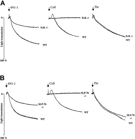 Fig. 4. Aggregation induced by 4N1-1 is strongly reduced in mice deficient in FcR γ chain and SLP-76. / Washed platelets (1 × 108/mL) from WT mice and mice deficient in FcR γ chain and SLP-76 were stimulated with 25 μM 4N1-1, 10 μg/mL collagen, or 0.1 U/mL thrombin. Aggregation was monitored by light transmission. Arrows indicate addition of agonist. Results are representative of experiments using 2 mice for each genotype.