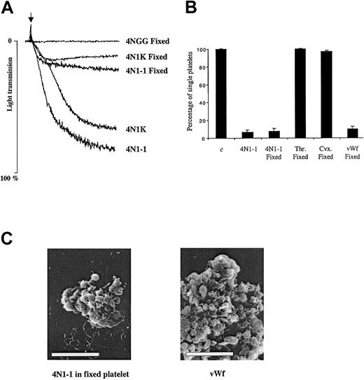 Fig. 6. 4N1-1 can induce agglutination of fixed platelets. / (A) Untreated or fixed human platelets were stimulated with 25 μM 4N1-1, 50 μM 4NGG, and 50 μM 4N1K. Aggregation was monitored by light transmission. Arrow indicates addition of agonist. (B) Untreated or fixed human platelets were stimulated with 25 μM 4N1-1, 0.5 μg/mL convulxin, 0.1 U/mL thrombin, or 10 μg/mL vWF activated with 1 mg/mL ristocetin. After full aggregation, the platelets were fixed and the number of single platelets was determined. Results were expressed as a percentage of nonstimulated platelets. Triplicate samples from each donor were used, and means ± SD are shown. Aggregation results and single-platelet counts are from one experiment representative of 3. (C) Fixed and untreated platelets were simulated with 25 μM 4N1-1 and 10 μg/mL vWF activated with 1 mg/mL ristocetin, respectively. Aggregates were fixed and dehydrated for analysis by electron scanning microscopy. The white bar represents 10 μm.