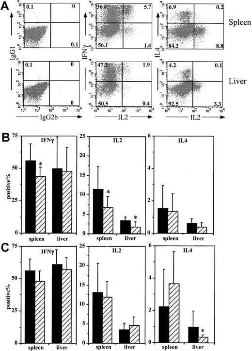 Fig. 3. Flow cytometric analysis of cytokine production by donor T cells in spleen and liver. / (A) Dot plots of intracellular cytokine staining from aGVHD mouse spleen and livers. Samples are gated on Thy1.2+ and EMA-negative (ie, live) cells. The percentage of positive cells is given in each quadrant. (B,C) Graphs show the means and SDs of the percentages of cytokine-positive cells as determined in A. (B) IL-2-tk spleen cell recipients treated with PBS (n = 10, solid bars) or GCV (n = 10, hatched bars) are compared. Notice that GCV treatment significantly decreased the percentage of IFN-γ–positive cells in the spleen and the percentage of IL-2–positive cells in both organs (P < .05, indicated by asterisk). However, no significant effect on IL-4–positive cells was observed. (C) Graphs show the significant decrease of IL-4–positive cells in the liver of IL-4-tk spleen cell recipients treated with GCV (n = 10) in comparison with the PBS group (n = 9). No other cytokine-positive population was affected in either organ.
