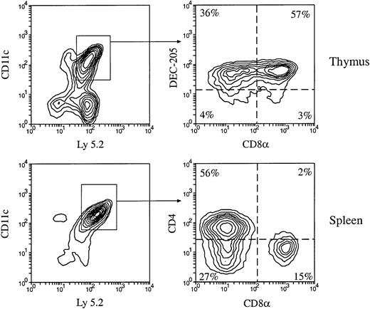 Fig. 1. Production of thymic and splenic DC populations by mouse BM cells. / Total BM cells (3 × 106) from C57BL/6 Ly 5.2 mice were IV injected into lethally irradiated Ly 5.1 recipient mice. At various times after BM cell transfer, DCs were enriched from the recipient thymus and spleen, then stained with fluorescent-conjugated antibodies to Ly 5.2 and to DC markers CD11c, CD4, CD8α, and DEC-205. The phenotype of BM-derived DCs was determined by examining the CD4, CD8, and DEC-205 expression on the gated donor type Ly 5.2+CD11c+ cells. Examples of the phenotypes of BM-derived DCs in the recipient thymus and spleen 4 weeks after BM transfer are shown.