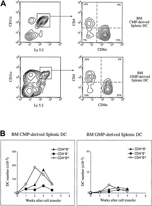 Fig. 5. The production of splenic DC populations by BM myeloid-committed precursors. / Purified Ly 5.2+ BM CMPs and GMPs were IV injected into lethally irradiated Ly 5.1 recipients. At various times after precursor cell transfer, DCs were enriched from the recipient spleen, and donor-derived DC populations were analyzed as described in Figure 4. (A) Examples of the phenotype of precursor-derived DCs 2 weeks after IV transfer of CMPs or GMPs are shown. (B) The absolute number of each donor-derived DC population was calculated at each time point, and these are presented in a kinetic manner. The data presented here are the means of 2 to 3 such experiments for each time point, and each experimental group included 3 mice.