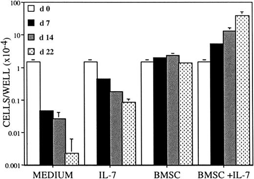 Fig. 2. BLIN-3 cells require human BM stromal cells for survival and BMSC + IL-7 for proliferation. / BLIN-3 cells were plated at 1.0 × 104/well in X-VIVO 10, and cell numbers were quantified on days 7, 14, and 22. BLIN-3 cells were plated in X-VIVO 10 alone (medium), with 10 ng/mL IL-7 (IL-7), on bone marrow stromal cells BMSCs alone (BMSC) or BMSC + 10 ng/mL IL-7 (BMSC + IL-7). Each bar represents the mean ± SD of triplicate values.