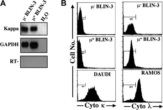 Fig. 5. BLIN-3 cells do not express immunoglobulin light-chain proteins. / (A) RT-PCR analysis of rearranged kappa transcripts in μ− and μ+ BLIN-3. cDNA was PCR amplified using a Vκ consensus primer and a Cκ primer followed by Southern blot analysis, as described in “Materials and methods.” (B) Intracellular flow cytometric analysis of κ and λ protein expression in BLIN-3 sublines. DAUDI cells are included as a positive control for κ, and RAMOS cells are included as a positive control for λ. The bar labeled M1 denotes staining by the isotype-matched control. Cyto indicates cytoplasmic.