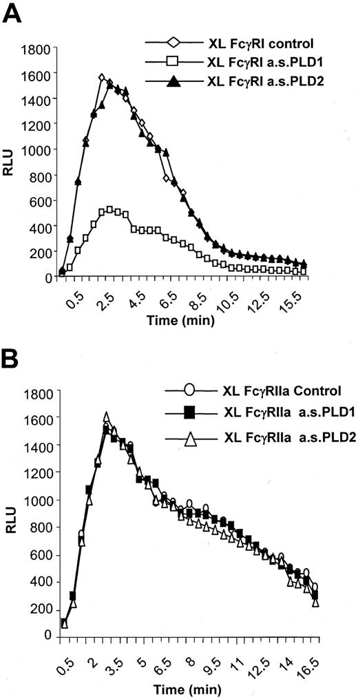 Fig. 5. FcγRI-mediated activation of NADPH oxidase. / FcγRI-mediated activation of NADPH oxidase is dependent on PLD1 and not PLD2. (A) Superoxide production in response to FcγRI in control cells (XL control) compared with cells pretreated with antisense oligonucleotide (10 μM) to either PLD1 (XL a.s.PLD1) or PLD2 (a.s.PLD2). The trace results shown are typical from 3 separate experiments. (B) Superoxide production in response to FcγRIIa in control cells (XL FcγRIIa control) compared with cells pretreated with antisense (10 μM) to PLD1 (FcγRIIa a.s.PLD1) or PLD2 (FcγRIIa a.s.PL2). FcγRIIa was specifically aggregated by means of an anti-FcγRII–specific monoclonal antibody.7 The trace results shown are typical from 3 separate experiments.