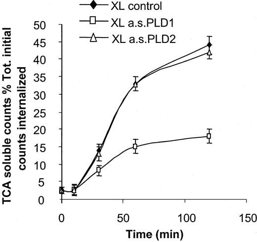 Fig. 6. Effect of PLD1 on coupling of FcγRI to trafficking of immune complexes. / PLD1 functionally couples FcγRI to trafficking of immune complexes. Trafficking of radiolabeled immune complexes is monitored by the appearance of TCA-soluble counts in cell supernatants. Following aggregation of FcγRI, radiolabeled surface–bound counts are rapidly internalized. During 120 minutes incubation, appearance of radiolabel in the supernatant as TCA-soluble counts (XL control) is compared between control cells and cells pretreated with antisense oligonucleotides (10 μM) to either PLD1 (XL a.s.PLD1) or PLD2 (XL a.s.PLD2). Results shown for each time point are the counts in the incubation supernatant soluble in TCA expressed as a percentage of the total counts bound at time zero. Results are the mean ± SD for triplicate measurements and are representative of the results from at least 3 separate experiments.