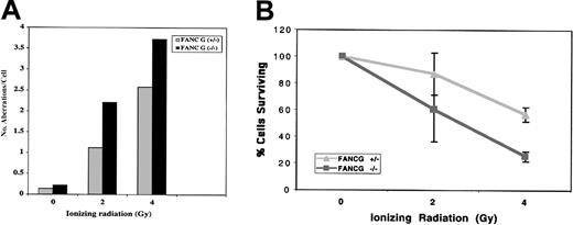 Fig. 4. Differential IR sensitivity of. / Fancg+/− andFancg−/− primary splenic lymphocytes. (A) Analysis of chromosome breakage following exposure to variable amounts of IR. Results shown are representative of 3 separate experiments. (B) Analysis of cell viability by the trypan blue assay following IR exposure. Based on this assay, theFancg+/− and Fancg−/−cells had approximately equal viability (95%-98% viable) in the absence of IR exposure. Data shown are representative of 3 separate experiments.