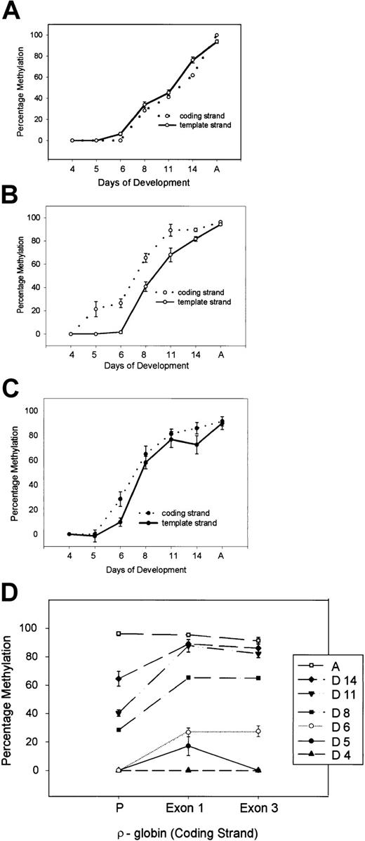 Fig. 6. Strand-specific methylation analysis of theρ-globin gene during development in chicken erythroid cells. / (A) Promoter, (B) exon 1 or proximal transcribed region, and (C) exon 3 or distal transcribed region. At least 4 CpG dinucleotides were quantitated for methylation. Error bars indicate the standard error of the mean. (D) Progressive methylation of the promoter (P), exon 1, and exon 3 regions on the coding (top) strand during development.