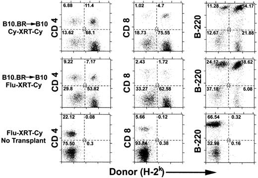 Fig. 1. Recipient conditioning with pretransplantation Cy or fludarabine in conjunction with low-dose TBI and posttransplantation Cy induces engraftment of MHC-incompatible cells. / C57BL/10 (B10; H-2b) mice were conditioned with Cy 200 mg/kg intraperitoneally on day −3 (top panel) or fludarabine 100 mg/kg intraperitoneally daily on days −6 to −2 (middle and bottom panels), followed by 200 cGy TBI on day −1 and Cy 200 mg/kg intraperitoneally on day +3 (all panels). On day 0, conditioned recipients received no marrow (bottom panel) or 2 × 107 marrow cells from MHC-congenic B10.BR (H-2k) donors (top and middle panels). Six weeks later, donor chimerism in splenic CD4+ and CD8+ T cells and B220+ B cells was analyzed by dual-color flow cytometry. The numbers in each of the quadrants represent the percentage of total cells analyzed.