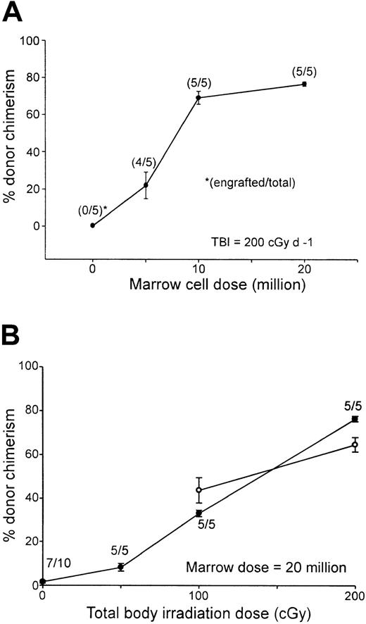 Fig. 3. Donor chimerism after Flu-XRT-Cy conditioning is proportional to the dose of transplanted marrow cells or TBI. / (A) B10 mice received fludarabine 100 mg/kg/day intraperitoneally on days −6 to −2, TBI (200 cGy) on day −1, graded doses of BALB/c marrow cells intravenously on day 0, and Cy 200 mg/kg intraperitoneally on day 3. (B) B10 mice received fludarabine 100 mg/kg/day intraperitoneally on days −6 to −2, graded doses of TBI on day −1, 20 million BALB/c marrow cells on day 0, and Cy 200 mg/kg intraperitoneally on day 3. (A,B) Seven weeks (closed symbols) or 1 year (open symbols) after transplantation, peripheral blood was stained with fluorescein-conjugated antibody to H-2Dd and evaluated for donor chimerism by flow cytometry.