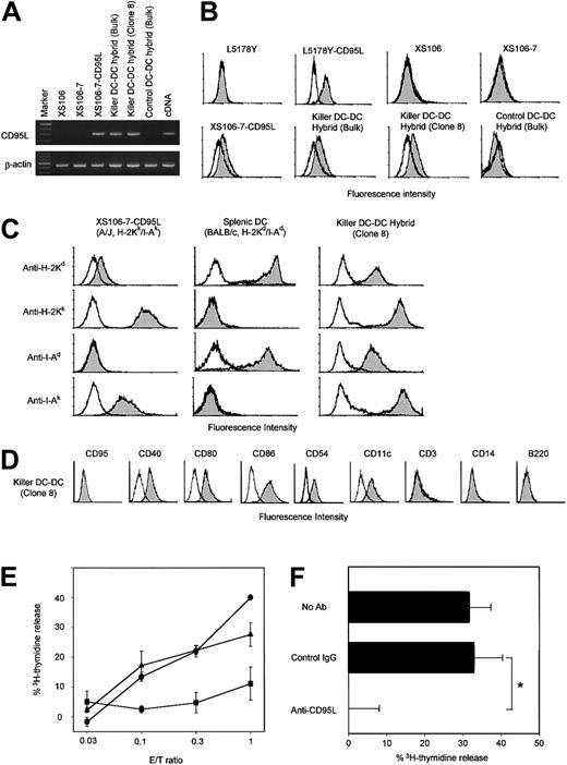 Fig. 2. Phenotypic and functional properties of killer DC-DC hybrids. / (A) The indicated cell lines were examined for CD95L and β-actin mRNA expression by RT-PCR. cDNA encoding CD95L or β-actin was amplified to serve as a positive control. The data are representative of 3 independent experiments. (B) The indicated cell lines were stained with anti-CD95L mAb (filled histograms) or isotype-matched control mAb (open histograms). CD95L-transfected and nontransfected L5178Y cell lines were stained in parallel to serve as positive and negative controls, respectively. (C) Two parental DC preparations, the XS106-CD95L clone (A/J origin) and splenic DCs (BALB/c origin), and the resulting killer DC-DC hybrid were stained with the indicated haplotype-specific mAbs (filled histograms) or isotype-matched control IgG (open histograms). Modest cross-reactivity of anti–H-2Kd mAb (SF1-1.1) with the H-2Kk determinant (top left) has been reported previously.26 (D) Killer DC-DC hybrids (clone 8) were stained with mAbs against the indicated surface molecules (filled histogram) or control IgG (open histogram). (E) The killer DC-DC hybrid line (closed triangles) and clone 8 (closed circle), as well as the control DC-DC hybrid line (closed squares), were examined for their capacity to kill Jurkat targets in a standard 18-hour3H-release assay at the indicated E/T ratios. Data are representative of 3 independent experiments, showing the means ± SD of percentage specific lysis from triplicate samples. (F) The killer DC-DC hybrid clone 8 was tested for cytotoxicity against the Jurkat target at the E/T ratio of 1.0 in the presence of neutralizing mAb against CD95L (Kay-10) or control IgG. The data are representative of 2 independent experiments, showing the means ± SD (n = 3). (*P < .01; brackets indicate groups being compared.)