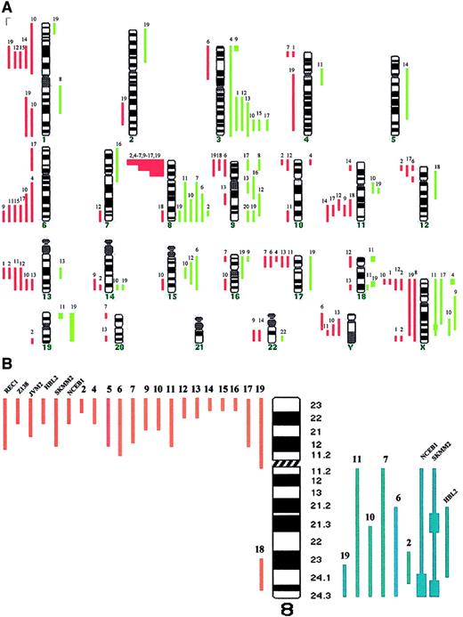 Fig. 1. Chromosomal imbalances and genomic loss of 8p in MCL. / (A) Summary of chromosomal imbalances detected by CGH in patients with leukemic MCL. Cases 1 to 19 are as presented in Table 1. Red lines on the left of the ideogram indicate loss of chromosomal material, whereas the green lines to the right indicate gain of chromosomal material. Green squares represent high-level DNA amplification. (B) Schematic representation of chromosome 8 genomic abnormalities in patients with MCL and in cell lines with t(11;14)(q13;q32).