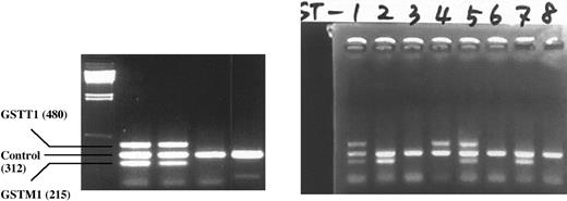 Fig. 1. Multiplex PCR products analyzed on 2% agarose gel. / The presence or absence of GSTM1 and GSTT1 genes was detected by the presence or absence of a band at 480 base pair (bp) (corresponding to GSTT1) and a band at 215 bp (corresponding to GSTM1). A band at 312 bp (corresponding to 1A1gene) was always present and was used as an internal control to document successful PCR amplification. Lanes 1,5, individuals withGSTT1+/+ andGSTM1+/+; lanes 2,7, individuals with GSTT1−/− andGSTM1+/+ alleles; lane 4, individuals with GSTT1+/+ andGSTM1−/− alleles; lanes 3,6,8, individuals with deletions for both GSTM1 andGSTT1.