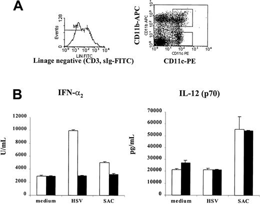 Fig. 2. Murine IFN-α–producing cells are present in the lymphoid, CD11c+CD11b− DC population. / (A) Myeloid (CD11c+CD11b+) and lymphoid (CD11c+CD11b−) DCs were sorted from spleens of mice mobilized for 7 days with Flt3L+GM-CSF using the directly conjugated CD11c-PE and CD11b-APC antibodies. T and B cells depleted by antibodies to CD3 and surface immunoglobulin and directly conjugated goat anti–rat IgG–coated magnetic beads. FITC-labeled antibodies to CD3 and sIgM were used to further exclude contaminating cells in FACS sorting. Gates were set to exclude dead cells and debris. Purity of sorted cells typically exceeded 97%. (B) CD11c+CD11b+ (black columns) and CD11c+CD11b− (white columns) DCs were cultured for 24 hours in medium alone or with HSV (5 PFU/cell) or SAC (10 μg/mL). Supernatants were collected and analyzed for IFN-α2 and IL-12 (p70) by specific ELISA. Lymphoid CD11c+CD11b− contained the major IFN-α activity after stimulation with HSV. SAC induced IFN-α and IL-12 production. Data from 1 of 3 experiments with similar results are shown.