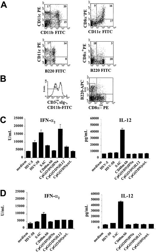 Fig. 3. Major murine IFN-α–producing DC subset expresses a CD11clow, B220+ phenotype and lacks CD8α expression. / (A) Staining of total splenocytes derived from Flt3L+GM-CSF–treated mice show that, in addition to myeloid CD11c+CD11b+ DC, a subset of CD11c+DC coexpresses the B220+ antigen. This population is distinct from CD11c+CD8α+ lymphoid DCs. (B) The CD11c+CD11b− DC subset was further subdivided using antibodies to CD8α-PE and B220-APC. Total CD11c+ cells were isolated from the spleens of Flt3L+GM-CSF–treated mice using CD11c-conjugated magnetic beads. FITC-conjugated antibodies to CD11b, CD3, and sIg were used to exclude myeloid DCs, T cells and B cells in FACS sorting. Sorted cells were typically more than 96% pure. (C) Sorted splenic CD11c+B220+ DCs were cultured for 24 hours alone or with HSV, SAC, CD40 antibodies, or 2 μg/mL CpG (ODN). Supernatants were harvested and examined for their IFN-α and IL-12 content by specific ELISA. Major HSV-responsive, IFN-α2–producing cells were found in the CD11c+B220+ subset. These cells exhibited the capacity to produce IFN-α and IL-12 in response to SAC. (D) CD11c+CD8α+ lymphoid DCs did not produce IFN-α on stimulation with HSV, but SAC induced low levels of IFN-α and high levels of IL-12. At least 5 experiments performed gave comparable results.