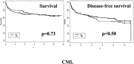 Fig. 1. Survival and DFS of patients with CML receiving either Bu or TBI associated with CY as conditioning regimen before transplantation.