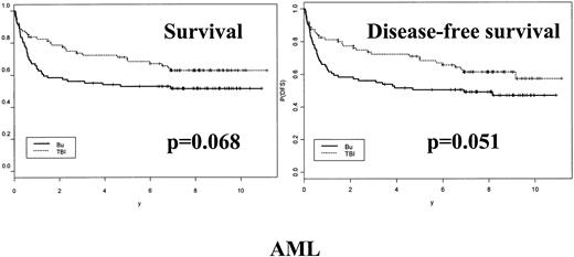 Fig. 2. Survival and DFS of patients with AML receiving either Bu or TBI associated with CY as conditioning regimen before transplantation.