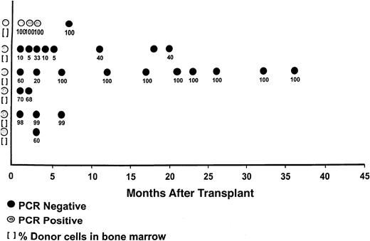 Fig. 2. Molecular posttransplantation responses with corresponding chimeric results. / Six patients were PCR positive for bcl-2 at transplantation. All are currently in PCR-negative status. The one patient who was PCR positive early after transplantation converted to PCR negativity with the onset of GVHD.