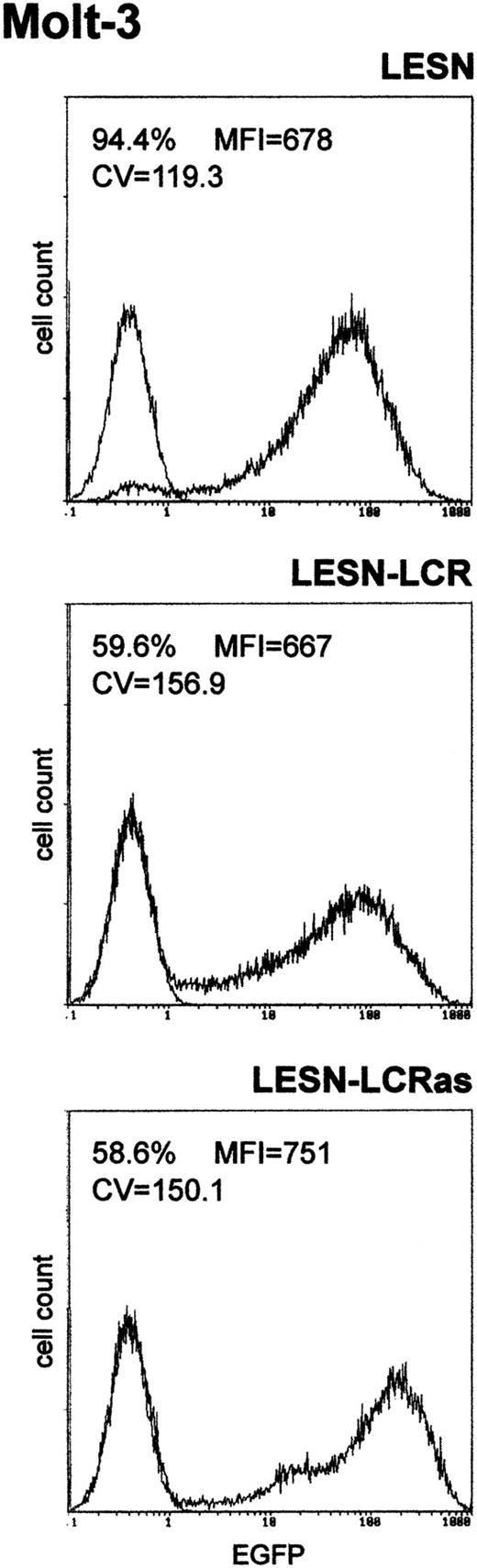 Fig. 2. Transduction of the human T-lymphoid cell line Molt-3 with retroviral vectors carrying the CD2 LCR and unmodified LTRs does not change the EGFP expression pattern. / Molt-3 cells were infected with LESN or the LCR-containing retroviral vectors generated by transient transfection of 293T cells and were selected in G418-containing medium for 4 weeks before FACS analysis. LESN-LCR and LESN-LCRas vectors carry the LCR element in the sense or antisense orientation, respectively. Representative patterns of EGFP expression are shown. The percentage of EGFP-positive cells for each construct and MFI are indicated, as is the CV, which describes the profile of the bell-shaped curve. The pattern of the mock-transduced lymphoid cells in each panel is also shown.