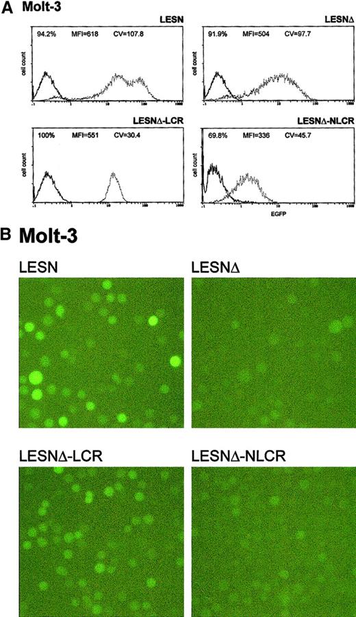 Fig. 3. Transduction of the human T-lymphoid Molt-3 cells with different retroviral vectors carrying the CD2 LCR and a deletion in the viral enhancer leads to a homogeneous, unimodal pattern of EGFP expression. / (A) Molt-3 cells were infected with LESN, LESNΔ, LESNΔ-LCR, and LESNΔ-NLCR retroviral vectors generated by transient transfection of 293T cells and were selected in G418-containing medium for 4 weeks before FACS analysis. Representative patterns of EGFP expression are shown. The percentage of EGFP+ cells for each construct, MFI, and CV are indicated. The profile of the mock-transduced lymphoid cells in each panel is shown as a continuous line. (B) Representative pattern of EGFP expression in Molt-3 cells transduced with the vectors indicated above each panel. Same cell populations analyzed by FACS and shown in panel A.