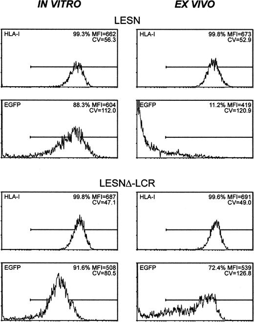 Fig. 8. CD2 LCR partially shields transplanted cells by silencing in vivo. / The human T lymphoid cell line Molt-3 was transduced with the LESN or the LESNΔ-LCR retroviral vectors generated by transient transfection of 293T cells and was selected in G418-containing medium for 4 weeks. At that time, the percentage of HLA class I+and of EGFP-expressing cells was quantified by FACS analysis (in vitro panels). Subsequently, vector-transduced cells were subcutaneously implanted in SCID mice and were grown for 4 weeks before recovery and measurement of HLA-I and EGFP expression (ex vivo panels). The percentage of positive cells for each marker, MFI, and CV of the analyzed cell population are indicated.