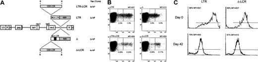 Fig. 9. Lentiviral vector-mediated gene transfer of LCR-containing vectors in human T lymphocytes. / (A) SIV-based lentiviral vectors carrying EGFP as the reporter gene are schematically shown; details on vector construction are available on request. The 2.1-kb LCR element was cloned in the antisense orientation in lentiviral vectors carrying either the parental MLV LTR (LTR) or an LTR lacking the viral enhancer (Δ) as the internal promoter. The titer of each vector, measured as the transducing unit (TU) per milliliter viral supernatant on NIH-3T3 cells, is indicated. (B) Anti-CD3–activated human T lymphocytes were transduced with the set of lentiviral vectors shown in panel A and were analyzed for CD3 and EGFP expression 72 hours later by FACS. Inclusion of the CD2 LCR 5′-upstream of the enhancer-deleted MLV LTR was associated with a relative reduction of the EGFP+ fraction expressing the marker at arbitrarily defined low levels (left box, quadrant 2) compared with cells expressing EGFP at intermediate levels (right box, quadrant 2) (panels Δ and Δ-LCR). This phenomenon was detected, but less markedly, in cells transduced by the lentiviral vectors carrying the unmodified LTR (panels LTR and LCR-LTR). Percentage values relative to each box and MFI of the entire EGFP+ cell population are indicated. (C) Effects of CD2 LCR on long-term gene expression. Anti-CD3–activated human T lymphocytes were transduced with either the parental (LTR) or the LCR-containing (Δ-LCR) vector and were sorted by FACS. EGFP expression was analyzed by FACS either immediately after sorting (day 0 panels) or after 6-week in vitro culture of the T lymphocytes in the presence of IL-2 (100 U/mL). Down-modulation of EGFP expression was detected in both samples.