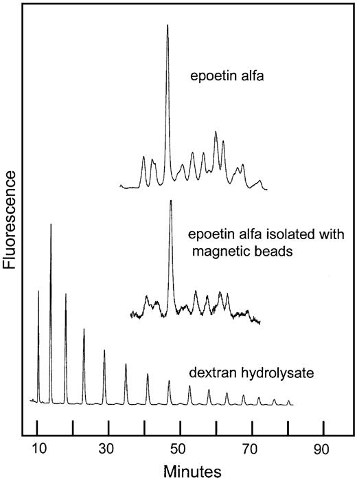Fig. 8. Normal-phase HPLC of 2-AB–labeled oligosaccharides from rhEPO isolated with hEPO-specific magnetic beads. / Comparison of sugar profiles from epoetin alfa with and without immunomagnetic extraction. The column was calibrated using a 2-AB–labeled dextran hydrolysate (mixture of glucose oligomers).