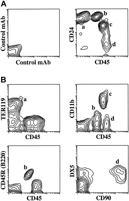 Fig. 1. Multiple hematopoietic lineages generated from in vitro-differentiated ES cells on OP9 stromal cells (ES-cell/OP9 coculture). / Hematopoietic lineages were characterized from 14-day ES-cell/OP9 cocultures by cell surface expression of lineage-specific markers. (A) Staining with control monoclonal antibodies (mAb) is shown in the left panel. In the right panel, 4 distinct populations, labeled a-d, were detected by flow cytometry on the basis of CD45 and CD24 surface expression. (B) Populations a-d were further characterized by lineage-specific markers for erythrocytes (a, TER119+); myeloid cells (c, CD11b+); B lymphocytes (b, CD45R+); and natural killer (NK) lymphocytes (d, DX5+CD90+).