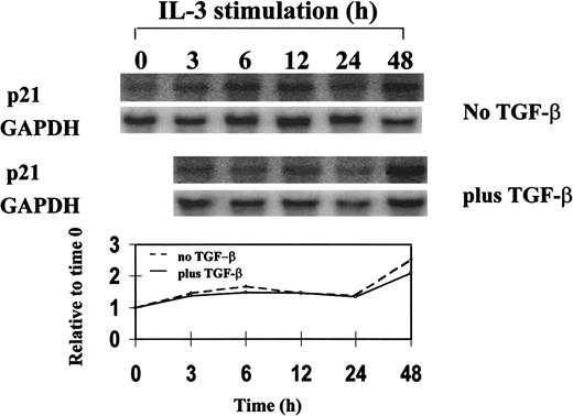 Fig. 6. Northern blot analysis of p21 expression in synchronized 32D cells during a single cell-cycle progression in the presence or absence of TGF-β1. / 32D cells were synchronized by starvation of IL-3 and restimulated with IL-3 plus or minus 20 ng/mL TGF-β1 and were analyzed for mRNA expression by Northern blotting. Single cell-cycle time was approximately 16 hours for 32D cells. The quantitative graph was made using NIHimager software comparing signal intensity at each time point with the time 0 baseline.