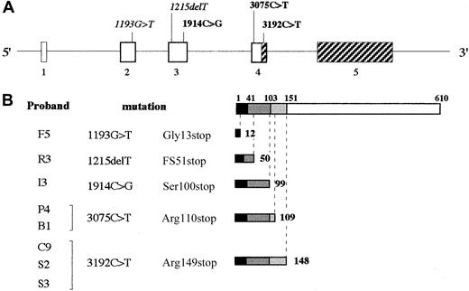 Fig. 1. Mutations in the fibrinogen Aα-chain gene identified in the analyzed patients with congenital afibrinogenemia. / (A) Schematic representation of the fibrinogen Aα-chain gene showing the positions of the identified mutations. Heterozygous mutations are shown in italics; homozygous mutations are shown in bold. Exons (numbered) and introns are indicated by boxes and narrow lines, respectively, and are drawn to scale. The shaded portions of exons represent the regions where a premature termination codon should not induce nonsense-mediated mRNA decay. Exon 6 of Aα-chain gene, which is present only in 2% of transcripts, has been omitted. (B) Predicted effects of the identified mutations at the protein level. Schematic representations of the fibrinogen Aα-chain (omitting the signal peptide encoded by exon 1) and of the predicted mutant truncated polypeptides are shown. Portions of Aα-chain encoded by different exons are drawn to scale and shaded in different grays. Numbers above the schematic drawing of the mature Aα-chain refer to amino acid positions corresponding to exon/exon boundaries; numbers beside the truncated polypeptides refer to their amino acid lengths.