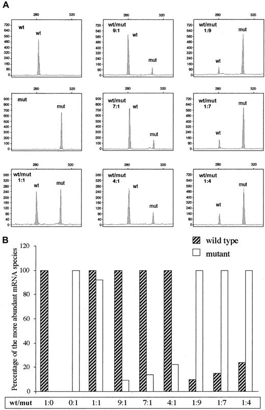 Fig. 2. Fluorescent hot-stop PCR. / Accuracy of the quantitation of the relative abundance of 2 DNA species by the newly developed fluorescent hot-stop PCR was verified by performing a number of PCR amplifications using different molar ratios of pT-Aα-wt and pT-Aα-Arg149stop plasmids as template. Labeled PCR products were subjected to allele-specific digestion withMaeIII and quantitated on an Abi-310 Genetic Analyzer. Areas of fluorescence peaks corresponding to the mutant and wild-type restriction fragments were measured by GeneScan Analysis software 3.1. (A) GeneScan Analysis windows showing fluorescence peaks corresponding to wild-type (280 nt) and Arg149stop mutant (309 nt) single-stranded fragments. The x-axis represents GeneScan data points and the y-axis represents fluorescence units (FUs). (B) Results of the semiquantitative analysis. The reported values correspond to the peak areas, setting the more abundant mRNA species of each experiment equal to 100%.