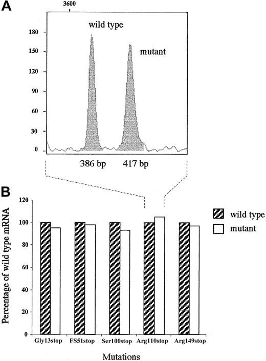 Fig. 3. Analysis of the relative abundance of wild-type and mutant mRNAs. / (A) Example of GeneScan analysis window showing fluorescence peaks corresponding to wild-type and mutant fragments for Arg110stop mutation. These fragments, whose lengths are indicated below each peak, were obtained by a suitable allele-specific digestion subsequent to an RT-PCR performed on RNA extracted from transfected COS-1 cells, coexpressing wild type and each mutant Aα-chain (see “Materials and methods”). The x-axis represents GeneScan data points, and the y-axis represents FUs. (B) Comparison of wild-type and mutant mRNAs levels. The reported values correspond to the peak area measured by means of GeneScan analysis software, with the wild-type mRNA level set equal to 100%.