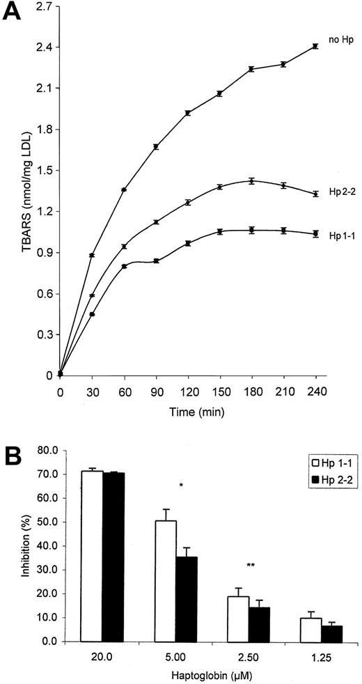Fig. 3. Oxidation of LDL by hemoglobin. / (A) Standard reaction demonstrating the time-dependent increase in TBARS formation when LDL is incubated with hemoglobin (10 μM) in the presence of no haptoglobin, haptoglobin 1-1 (5 μM), or haptoglobin 2-2 (5 μM) as described in “Materials and methods.” Data shown are the mean ± SEM for 4 independent experiments. (B) Comparison of the ability to inhibit the hemoglobin-induced oxidation of LDL by haptoglobin 1-1 or 2-2. Hemoglobin was used at a concentration of 10 μM, and haptoglobin was used at the concentrations shown. Data are expressed as a percentage of inhibition of the amount of TBARS obtained in the absence of any haptoglobin over the entire incubation period by integrating the area under the TBARS versus the time curve using MATLAB, as described in “Materials and methods.” Data shown are the mean ± SEM of 4 independent experiments for each haptoglobin concentration. *Difference in the mean percentage inhibition between haptoglobin 1-1 and haptoglobin 2-2 was statistically significant (P < .004).
