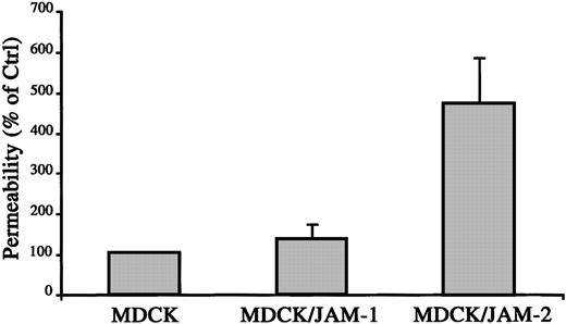 Fig. 6. JAM-2 increases paracellular permeability. / Diffusion of FITC-dextran (42 kd) across monolayers of MDCK, MDCK/JAM-1, or MDCK/JAM-2–transfected cells was measured after 3 hours. Quantification of FITC dextran in the lower compartment was measured using Cytofluor II, and the 100% diffusion was calculated according to the fluorescence observed in the lower compartment using a monolayer of nontransfected MDCK cells.
