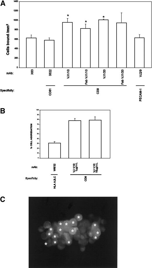 Fig. 5. Effect of anti-CD9 in TC-EC intercellular interactions. / (A) BCECF-labeled A375 cells were allowed to adhere to EC-coated plates for 5 minutes in the presence of the indicated purified mAb (10 μg/mL). Adhesion data represent the mean ± SD of triplicate samples from 1 of 4 independent experiments. *Statistically significant at P < .05 compared with control mAb X63 and with anti-CD81. (B) BCECF-labeled A375 cells (green) and SNARF-labeled ECs (red) were mixed in the presence of anti-CD9 VJ1/10 or anti-HLA class I W6/32 mAb and allowed to aggregate for 30 minutes, under rotation, as described in “Materials and methods.” Cell aggregation was quantified by flow cytometry and fluorescence microscopy. (C) One representative aggregate is shown. ECs are marked with asterisks (originally labeled in red fluorescence).