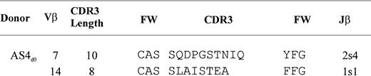Fig. 4. TCR clonotype sequences from acute asymptomatic donor AS4. / TCR CDR3 region sequences of selected Vβ expansions that were found by direct sequencing and recombinant cloning to be monoclonal (see “Materials and methods”). TCR Vβ and Jβ gene elements were assigned according to Arden et al52 and Toyonaga et al,53 respectively. FW signifies framework branches that putatively support the CDR3 region. Nucleotide sequences of each of these clones are available from EMBL/GenBank/DDBJ under accession numbers AJ308538 to AJ308539.