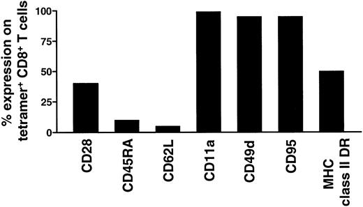 Fig. 2. Phenotypic characterization of tetramer-binding CD8αβ+ T lymphocytes. / Phenotype of lymphocytes isolated from LPLs and IELs of jejunum from the chronically SIVmac-infected rhesus monkey 251 are shown.