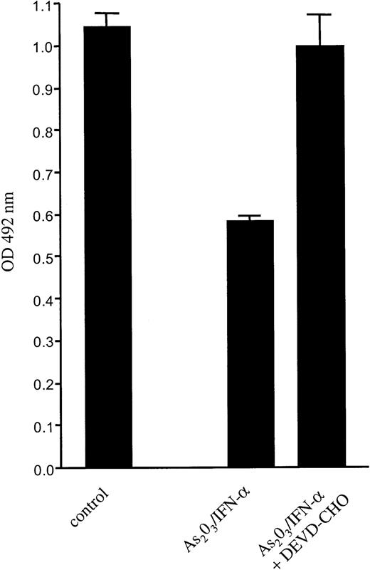 Fig. 6. Ac-DEVD-CHO, a caspase-3–specific inhibitor, can prevent As2O3-induced apoptosis. / HUT-102 cells were preincubated with Ac-DEVD-CHO at 100 μM, for 2 hours, then treated with control buffer or with As2O3 + IFN-α for 60 hours in the presence of Ac-DEVD-CHO. XTT assay was then performed, as described in “Materials and methods.” Graph represents the mean of 2 separate experiments performed in triplicate. Lane 1, control treatment; lane 2, As2O3 + IFN-α; lane 3, As2O3 + IFN-α + Ac-DEVD-CHO.