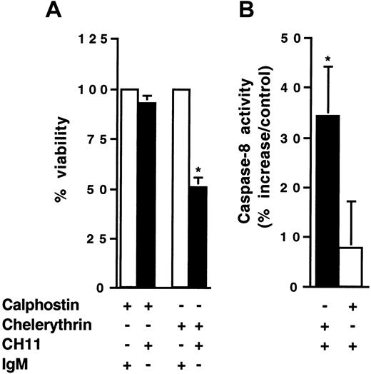 Fig. 4. Effect of PKC inhibitors on Fas-mediated cytotoxicity and caspase-8 activation in KG1a cells. / KG1a cells (4 × 105/mL) were pre-incubated for 1 hour with chelerythrin (20 μM) or calphostin (50 nM). Then cells were treated with 2 μg/mL CH11 or IgM for 4 hours. (A) Fas-induced cell cytotoxicity was evaluated by Trypan blue exclusion assay. Results are the mean ± SD of 3 independent experiments. *P < .05. (B) Caspase-8 activity was evaluated as described in “Materials and methods.” Results are expressed as percentage increase in CH11 against IgM-treated cells and are the mean ± SD of 3 independent experiments. *P < .05
