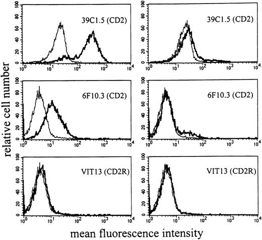 Fig. 5. Antibody reactivity of sorted HMC-1 fractions. / After sorting for CD2+ and CD2− cells, the HMC-1 subpopulations were kept in culture for 140 days. On day 42, cells were incubated with mAbs directed against the T11-1 epitope (39C1.5), T11-2 epitope (6F10.3), and T11-3 epitope (VIT-13) of CD2 and analyzed by flow cytometry. As visible, the cells retained their phenotype after long-term culture. In fact, the HMC-1 cell subset sorted for CD2 (left panel) remained T11-1+ and T11-2+, whereas the CD2− HMC-1 fraction still was T11-1− and T11-2− on day 42. The same result was obtained after keeping HMC-1 cell subpopulations in culture for 140 days.
