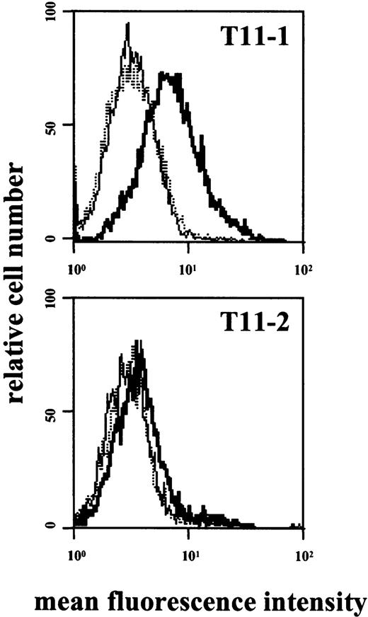 Fig. 7. Expression of T11-3 on activated HMC-1 cells. / HMC-1 cells were incubated with mAb 39C1.5 directed against the T11-1 epitope of CD2 (top), with mAb 6F10.3 directed against the T11-2 epitope (bottom), or with control medium (dotted lines). Cells were incubated with mAb or control medium at 37°C for 6 hours. Cells were then washed and stained with FITC-conjugated T11-3 mAb VIT-13 (bold lines). As visible, incubation of HMC-1 cells with T11-1– or T11-2–specific mAbs was followed by expression of the T11-3 epitope. Interestingly, the amounts of expressed T11-3 were significantly higher in HMC-1 cells incubated with T11-1 mAb compared with stimulation with the T11-2 antibody. The dotted line indicates the background control (without antibodies).