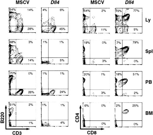 Fig. 3. Flow cytometry analysis. / Two-parameter contour plots show CD3 versus B220 (left) and CD8 versus CD4 (right) expression in lymph node (Ly), spleen (Spl), PB, and BM. Three control and 5 Dll4-overexpressing mice were analyzed. This figure shows a representative control and aDll4-overexpressing animal at 4 weeks after BMT.