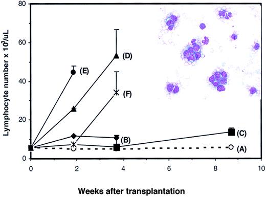 Fig. 5. PB lymphocyte counts in secondary transplant recipients. / Nonirradiated BDF1 mice received transplants of spleen cells from control (panel A) or Dll4-overexpressing (panels B-F) donors. Results are shown as mean ± SEM (n = 10). Inset shows representative blood smear of a recipient of spleen cells from aDll4-overexpressing animal.