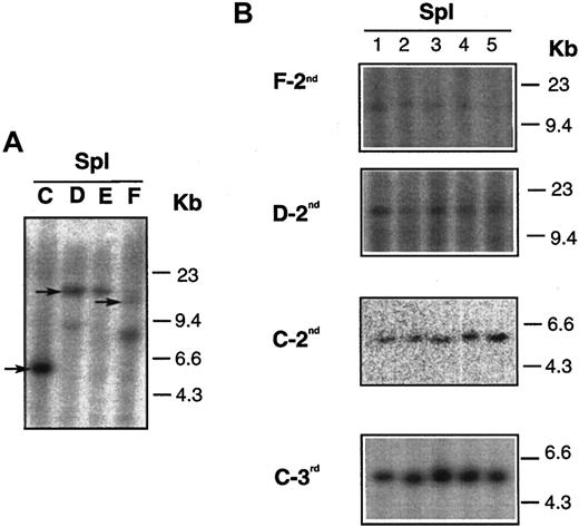 Fig. 6. DNA analysis of mice who received serial transplants. / (A) Results of DNA isolated from spleens of 4Dll4-overexpressing donors (C,D,E,F). (B) Results of DNA isolated from spleens of secondary (F-2nd, D-2nd, and C-2nd, also shown in Figure 5) and tertiary (C-3rd) recipients. Arrows in panel A indicate that the same clones were seen in secondary and tertiary recipients, shown in panel B.