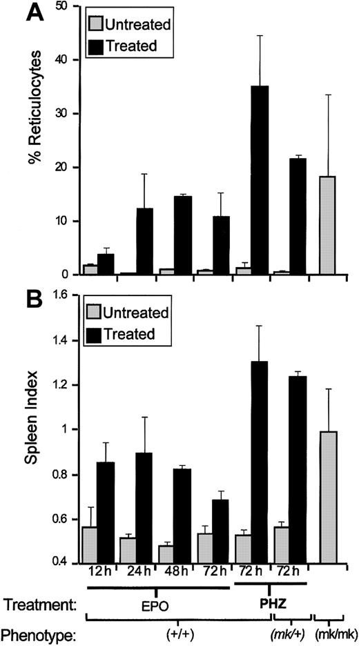 Fig. 1. Reticulocytosis and splenomegaly in EPO- or PHZ-treated mice and in. / mk/mk mice. Wild-type animals (129sv) ormk/+ heterozygotes were treated with either EPO or PHZ. Blood samples and spleens were collected at indicated times after the last injection and also from untreated mk/mk homozygotes. Reticulocyte counts (A) and spleen index (B; SI = 100×spleen weight/body weight) were calculated for each group (2 or 5 mice in each). Results are expressed as means ± SD.
