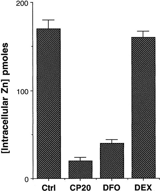 Fig. 3. Effect of iron chelators on intracellular zinc levels. / Thymocytes were incubated with PBS (control), dexamethazone (10−7 M), or the iron chelators CP20 or DFO (300 μM IBE) for 24 hours. The cells were washed 3 times in PBS prior to the addition of zinquin (25 μM). Zinquin fluorescence was measured by spectrofluorimetry. The data shown are the mean ± SD of 4 independent experiments performed in duplicate.