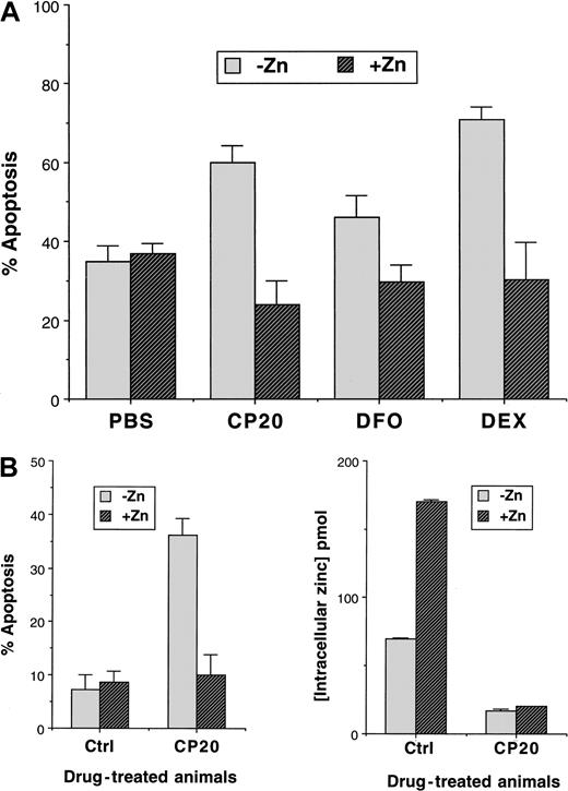 Fig. 4. Effect of zinc on thymocyte apoptosis. / (A) The effects of in vitro addition of zinc sulfate (200 μM) on the apoptotic index of murine thymocytes are shown. Freshly isolated murine thymocytes from 10- to 12-week-old male BALB/C mice were incubated for 24 hours with control (PBS), CP20 or DFO (300 μM IBE), or dexamethasone (10−7 M) prior to be analyzed for apoptosis by flow cytometry. Results are the mean ± SD of 6 independent experiments. (B) The effect of a high-zinc diet on in vivo–induced apoptosis and on the effect on intracellular zinc levels is shown. Mice were fed on either high-zinc or normal diets for 30 days and then administered either control (PBS) or CP20 (200 mg/kg) for 60 days while continuing their respective diets. At the end of this period, the animals were killed and their thymocytes removed immediately. Intracellular zinc levels were measured by the zinquin method and the proportion of cells undergoing apoptosis estimated by flow cytometry after 24 hours overnight in control medium at 37°C (RPMI 1640 medium containing l-glutamine and supplemented with 10% FCS). Results are ± SD of 8 mice on the same regimen.